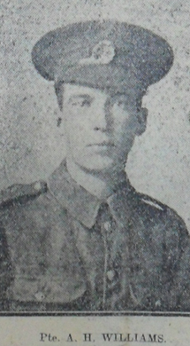 Alfred H WILLIAMS