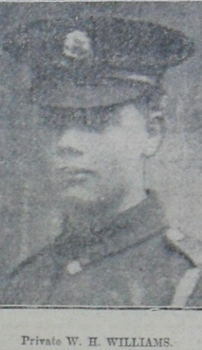 William WILLIAMS