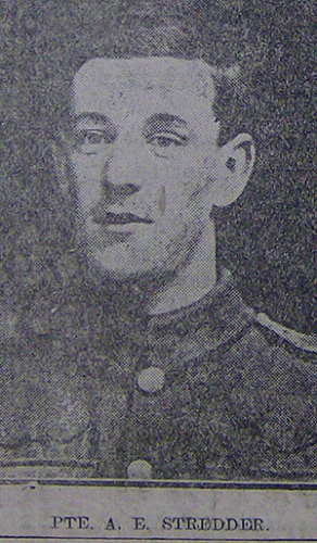 Albert Edward STREDDER