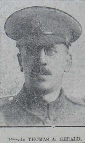 THOMAS ALEXANDER HERALD
