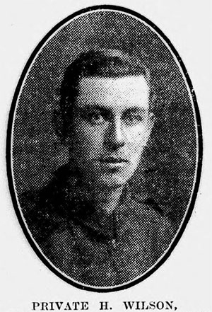 Harry WILSON