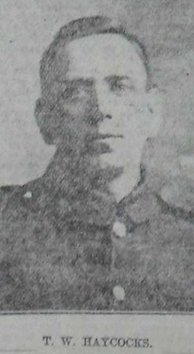 THOMAS WALTER HAYCOCKS