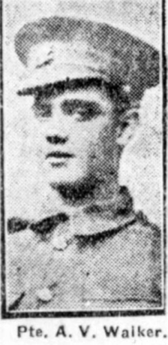 Albert V WALKER