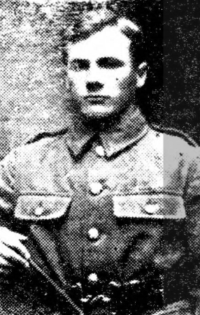 David Alexander DAVIES