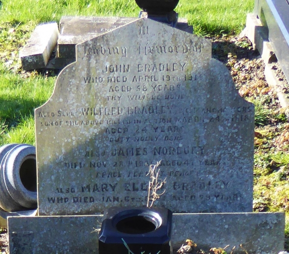 WILFRED BRADLEY