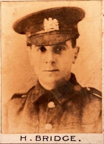 Harold BRIDGE