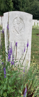 Thomas BARDSLEY