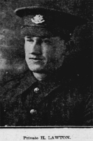 HARRY LAWTON
