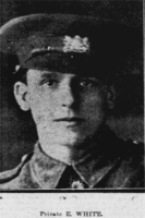 EDWARD WHITE