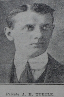 ARTHUR HENRY TURTLE