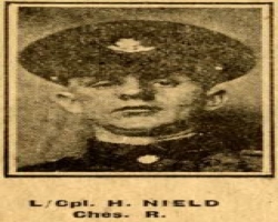 HARRY NIELD