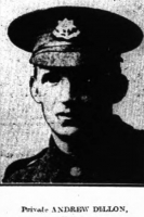ANDREW DILLON
